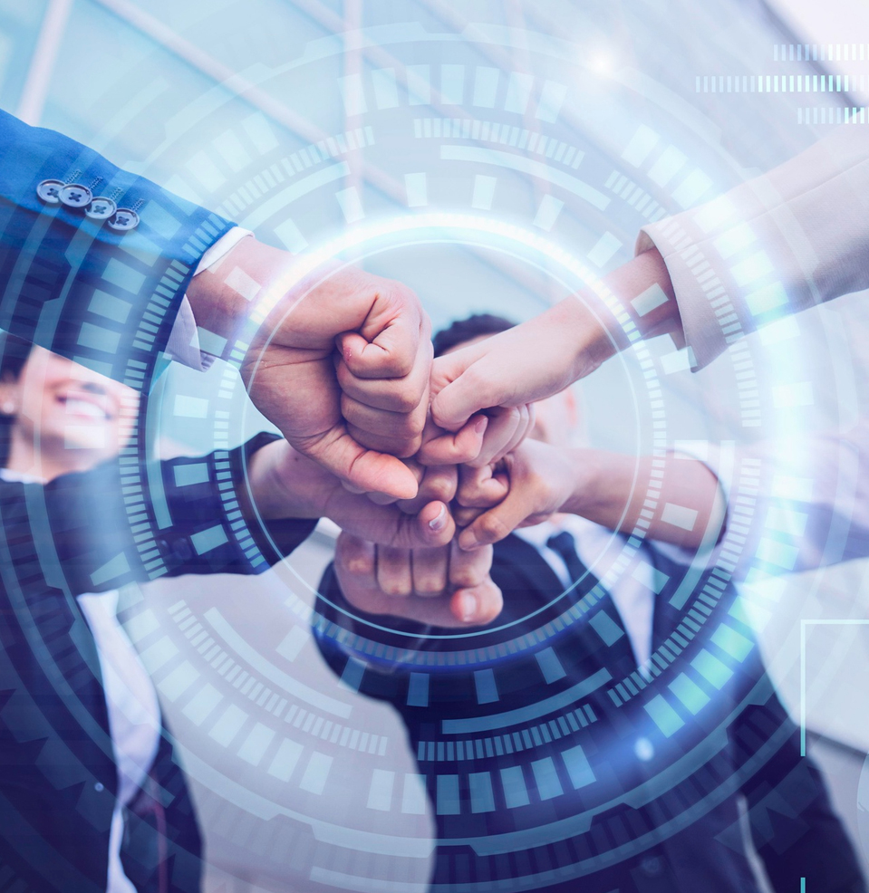 About Softnet Solution