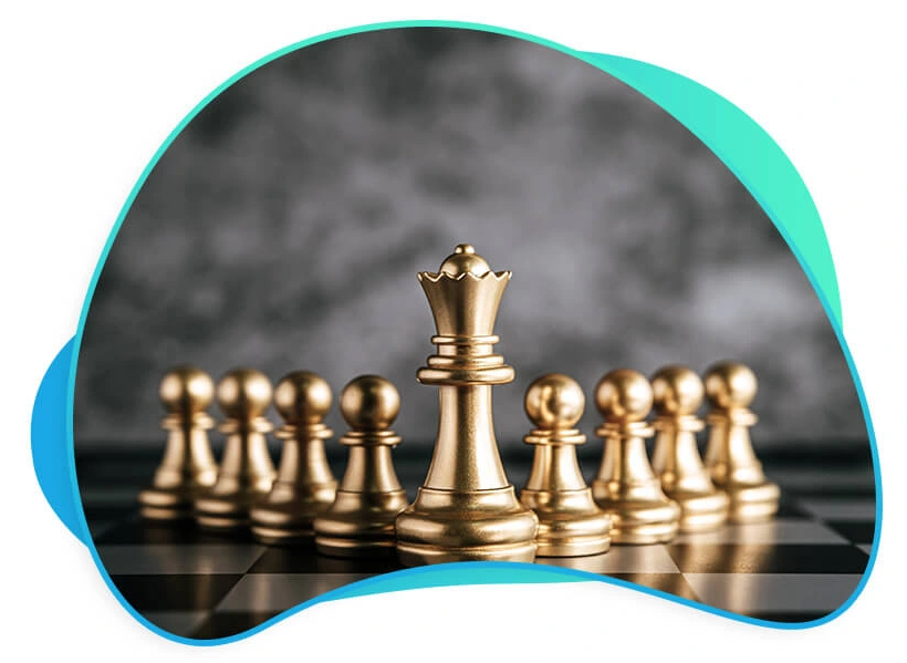 About Softnet Solution Company